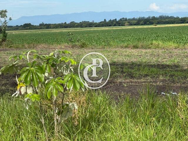 Fazenda para Venda em Taubaté - 5