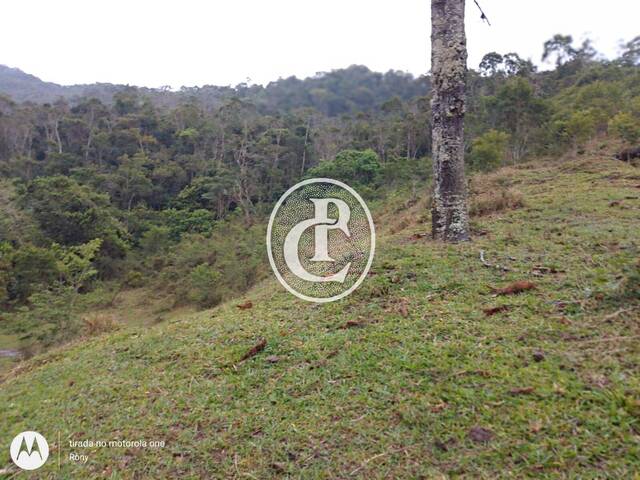 #1585 - Fazenda para Venda em Paraibuna - SP