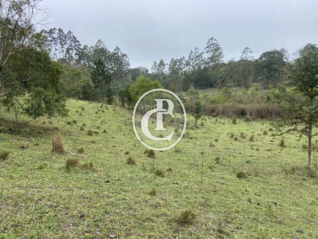Sítio para Venda em São Luíz do Paraitinga - 4