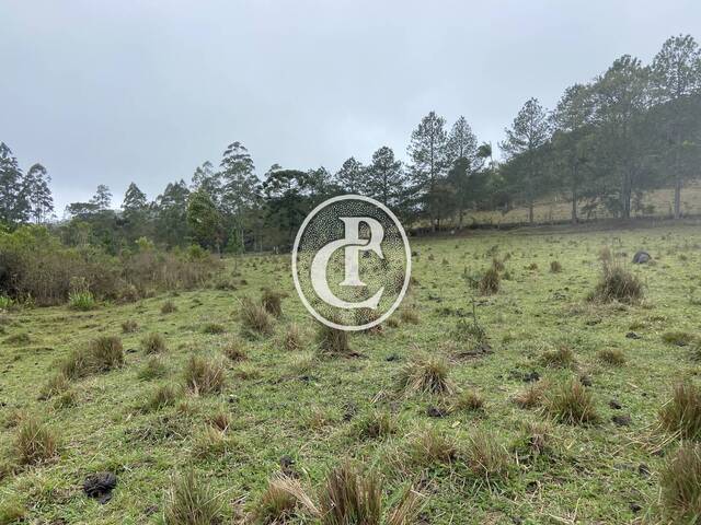 Sítio para Venda em São Luíz do Paraitinga - 5