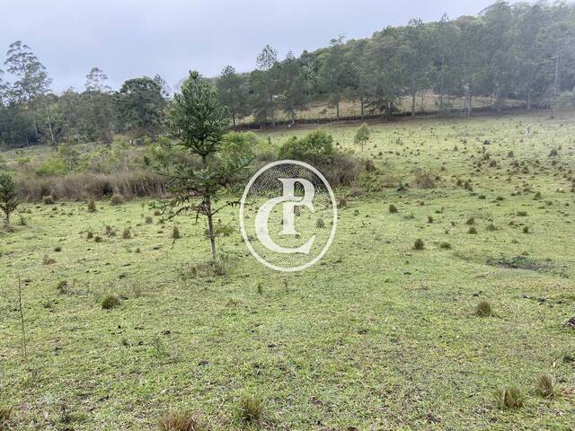 #1587 - Sítio para Venda em São Luíz do Paraitinga - SP