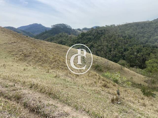 #1590 - Sítio para Venda em São Luíz do Paraitinga - SP