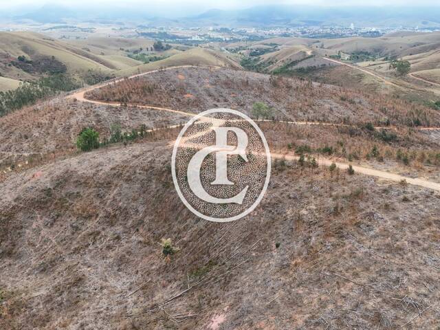 #1593 - Chácara para Venda em Cruzeiro - SP