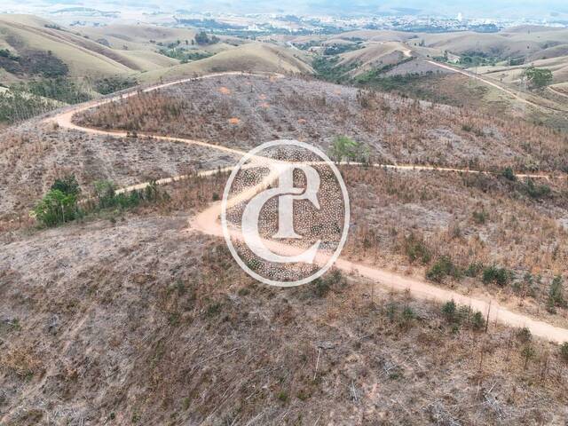 #1593 - Chácara para Venda em Cruzeiro - SP