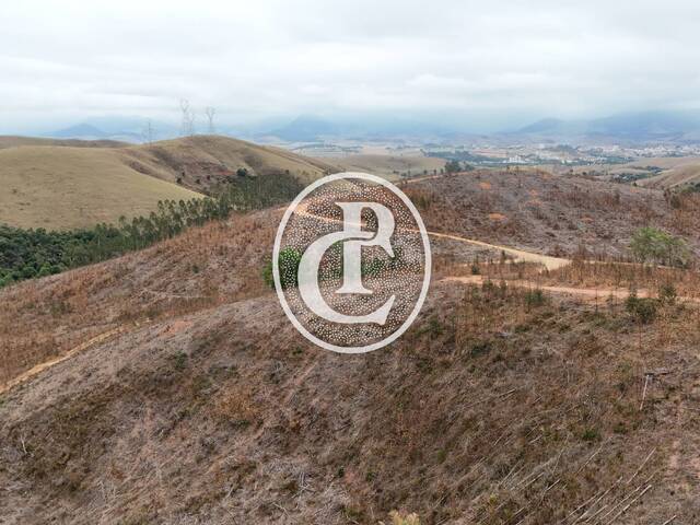 #1593 - Chácara para Venda em Cruzeiro - SP