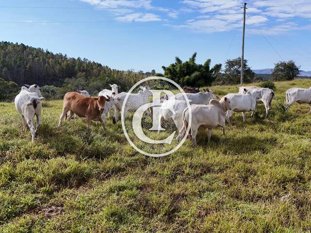 #1594 - Chácara para Venda em Arantina - MG