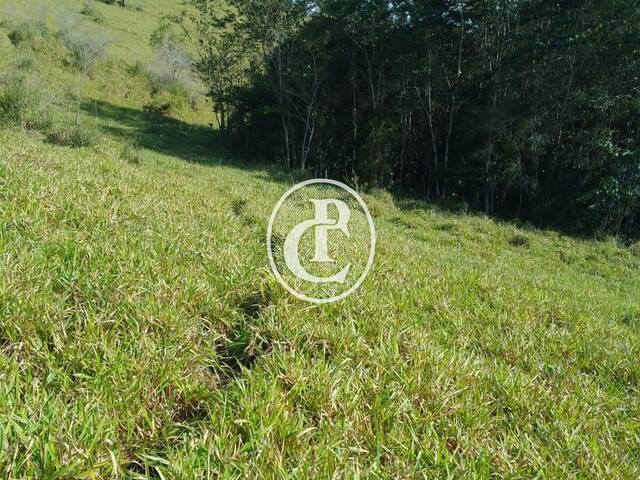 Sítio para Venda em Paraibuna - 4