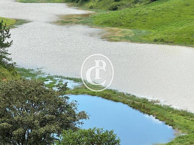#1600 - Sítio para Venda em São José dos Campos - SP