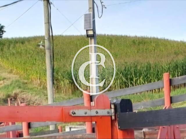 Sítio para Venda em Paraibuna - 3