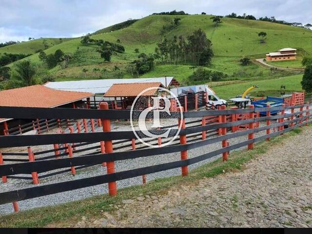 Sítio para Venda em Paraibuna - 4