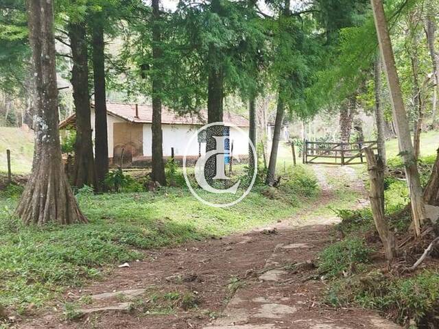 Sítio para Venda em Paraibuna - 4