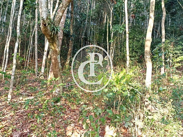 Chácara para Venda em Paraibuna - 4