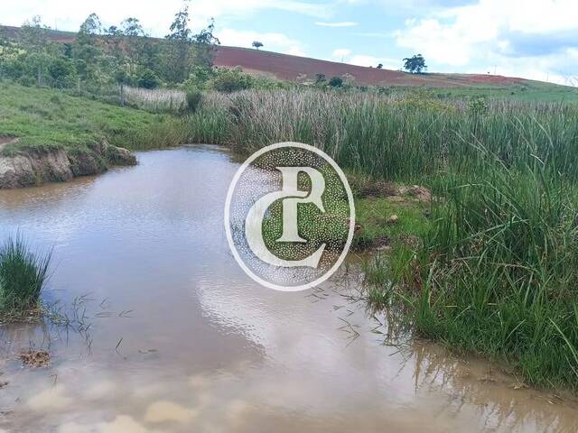 Fazenda para Venda em Paraibuna - 4