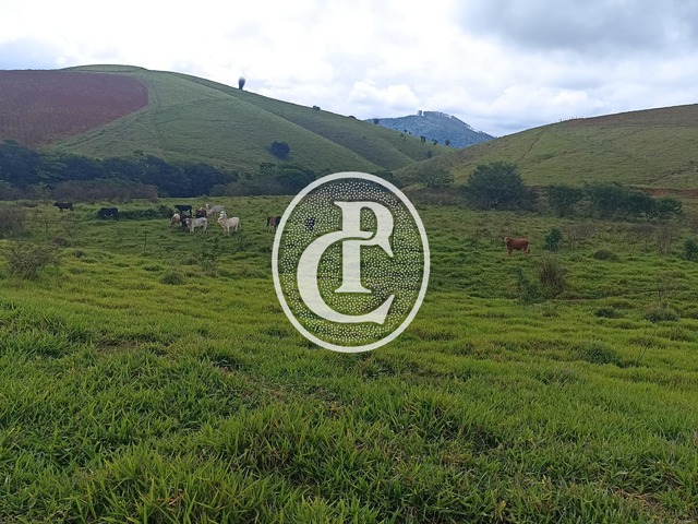 Fazenda para Venda em Paraibuna - 5