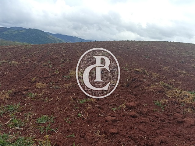 #1615 - Fazenda para Venda em Paraibuna - SP