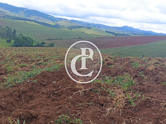 #1615 - Fazenda para Venda em Paraibuna - SP