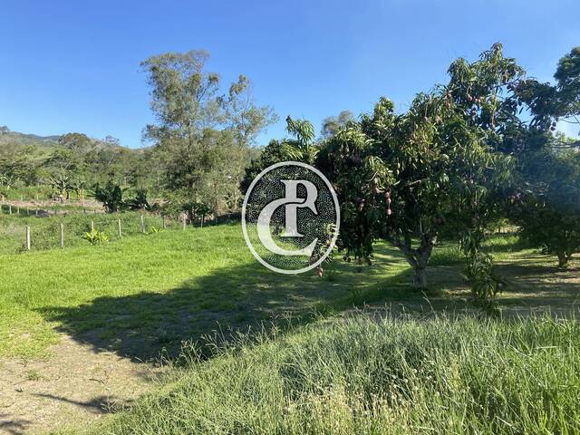 #1617 - Chácara para Venda em Caçapava - SP