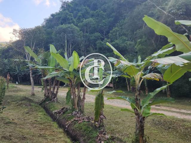 #1619 - Sítio para Venda em Taubaté - SP