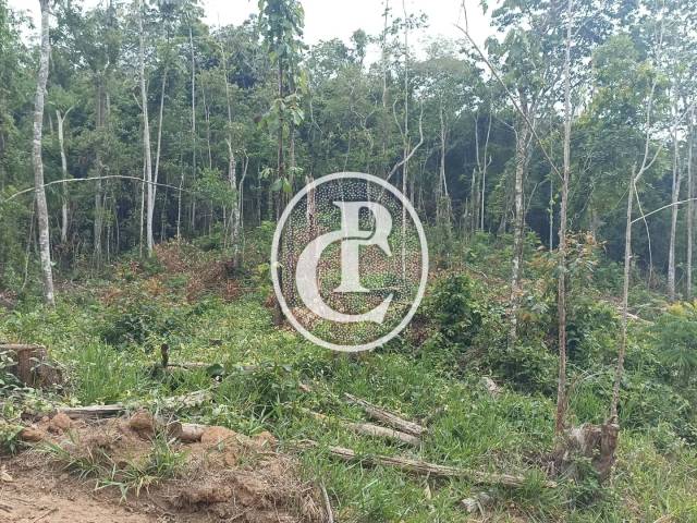 #1620 - Chácara para Venda em Paraibuna - SP