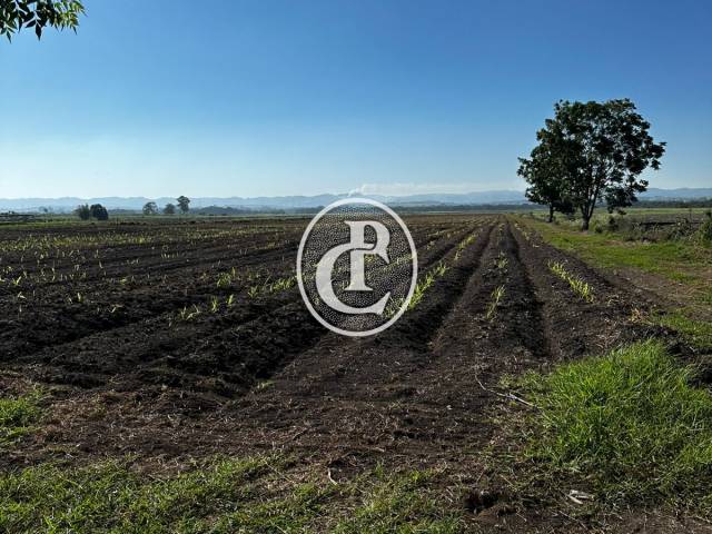 #1623 - Sítio para Venda em Caçapava - SP