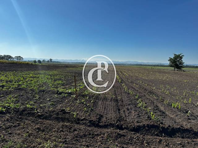 Sítio para Venda em Caçapava - 4