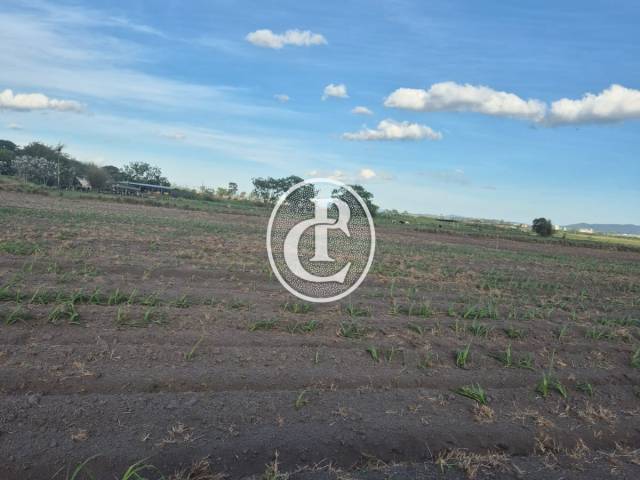 #1623 - Sítio para Venda em Caçapava - SP