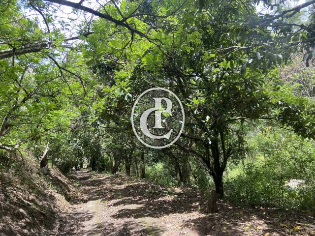 #1626 - Chácara para Venda em Santa Branca - SP