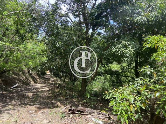 #1626 - Chácara para Venda em Santa Branca - SP