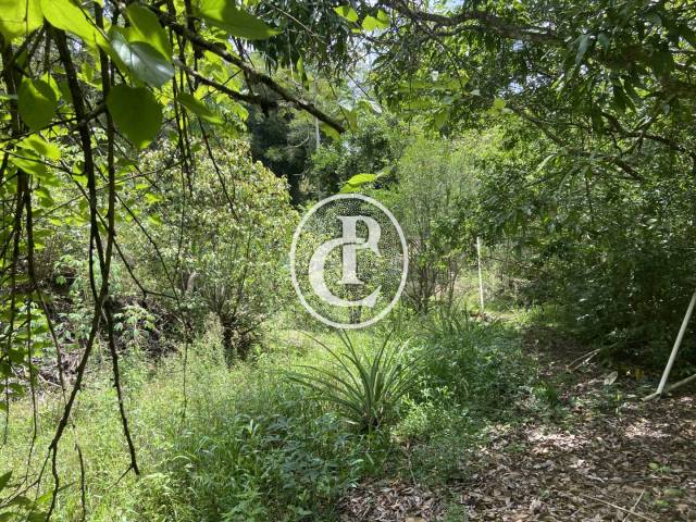 Chácara para Venda em Santa Branca - 5