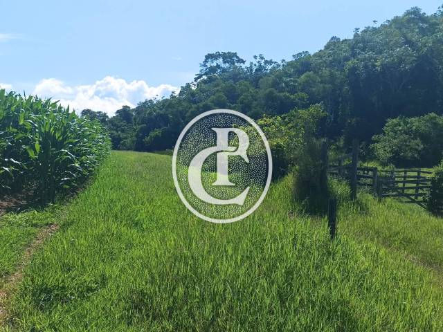 #1630 - Fazenda para Venda em Paraibuna - SP