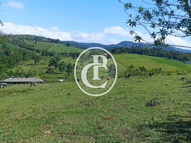 #1630 - Fazenda para Venda em Paraibuna - SP