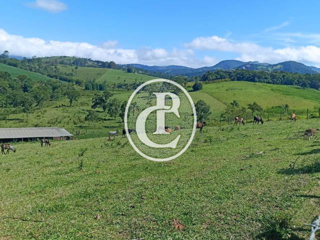 Fazenda para Venda em Paraibuna - 4