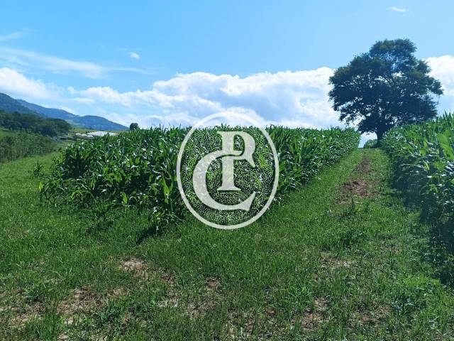 Fazenda para Venda em Paraibuna - 5