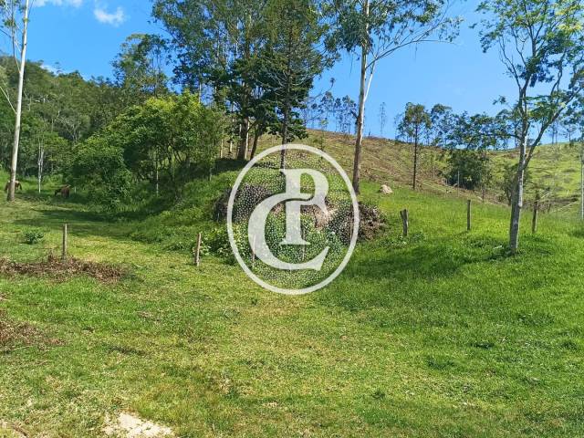 Sítio para Venda em Paraibuna - 4