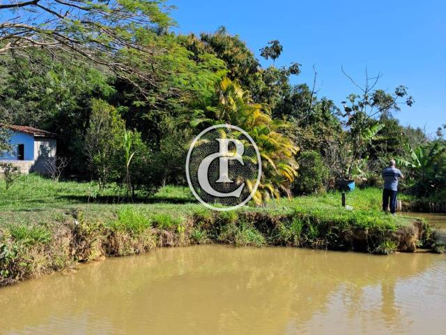 Chácara para Venda em Monteiro Lobato - 4