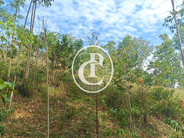 Sítio para Venda em Paraibuna - 2