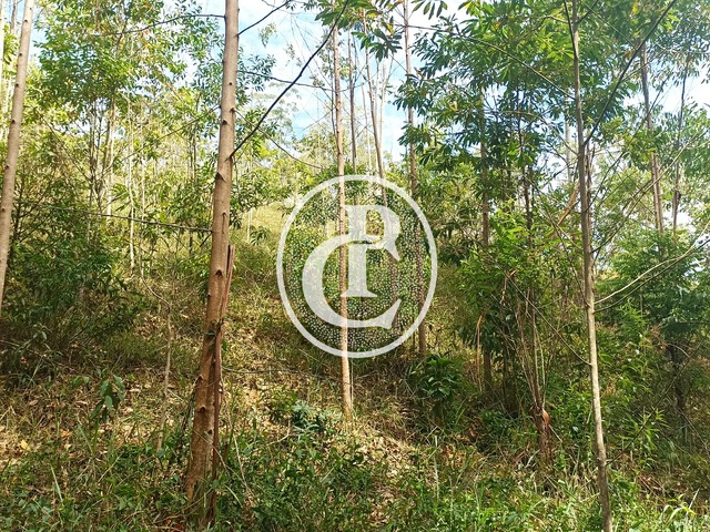 Sítio para Venda em Paraibuna - 4