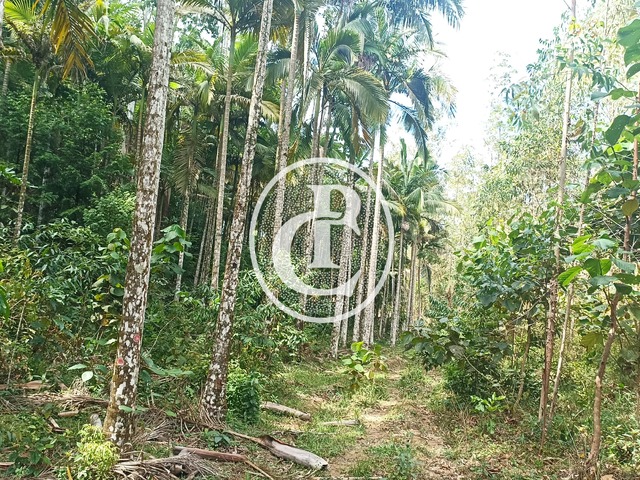 Sítio para Venda em Paraibuna - 5