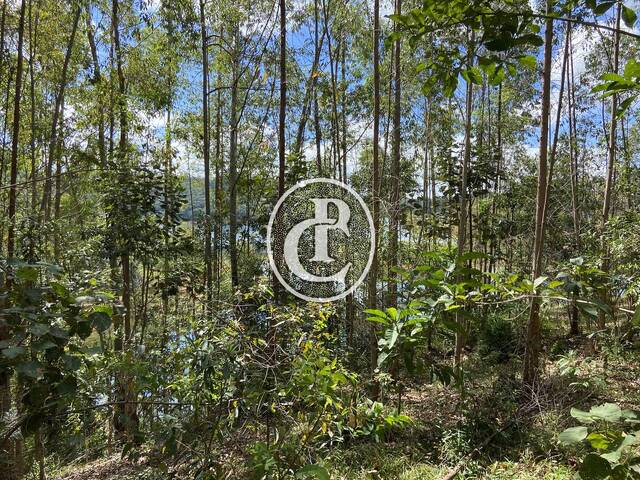 Área para Venda em Paraibuna - 4