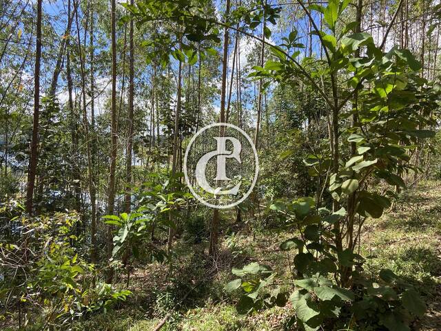 Área para Venda em Paraibuna - 5