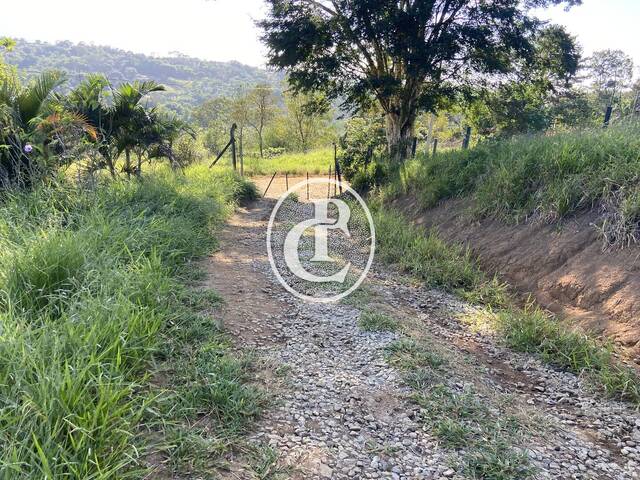 Chácara para Venda em Caçapava - 4