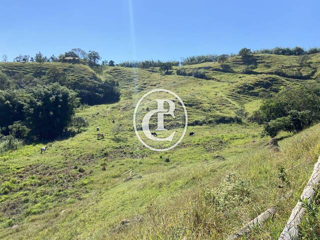 Venda em Chácara Germana - Caçapava