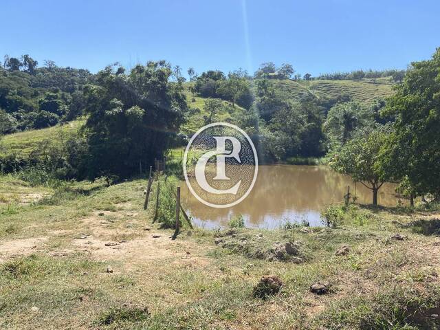 Sítio para Venda em Caçapava - 5