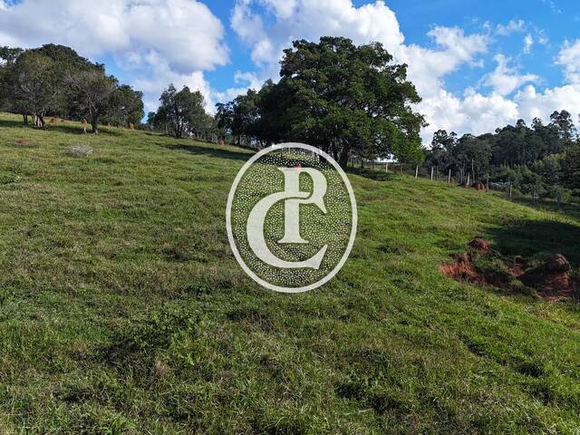 Chácara para Venda em São Luíz do Paraitinga - 3
