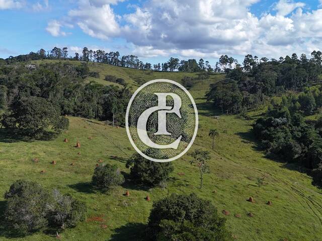 Chácara para Venda em São Luíz do Paraitinga - 4