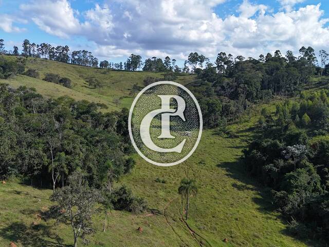 Chácara para Venda em São Luíz do Paraitinga - 5