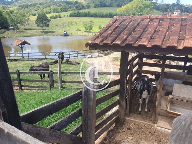 Sítio para Venda em São Lourenço - 4