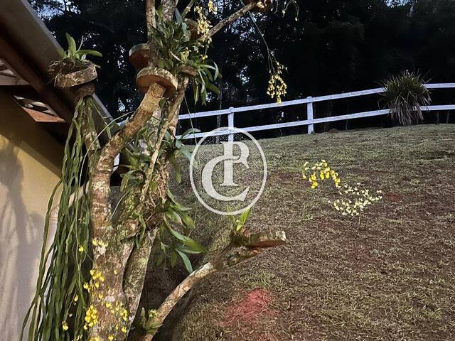 Chácara para Venda em Paraibuna - 4