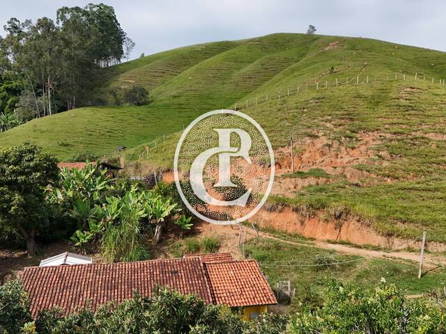 Sítio para Venda em São Luíz do Paraitinga - 2