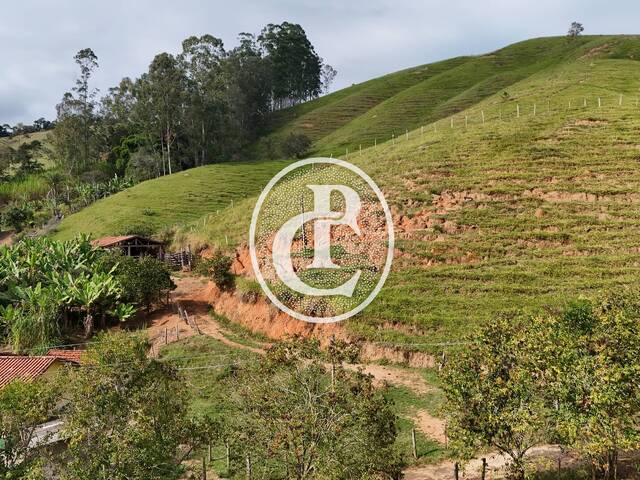 Sítio para Venda em São Luíz do Paraitinga - 3